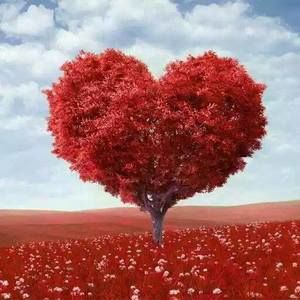 Meet your Posher, Emme